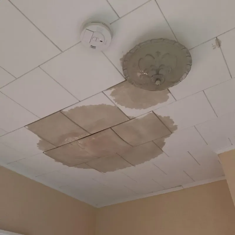 Ceiling Water Damage Repair in Sioux City, IA
